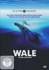 Wale - Knige der Meere
