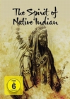 The Spirit Of Native Indian