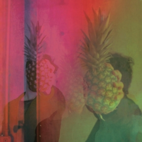 VERNON SÉLAVY - Stressed Deserts Blues