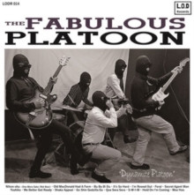DYNAMITE PLATOON - <br>