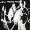 Adam And The Ants