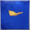 NEW ORDER