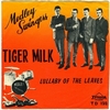 MEDLEY SWINGERS
