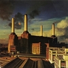 PINK FLOYD