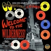 VARIOUS ARTISTS