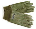 FRANK DANDY HANDSCHUH - LYDEN GREEN