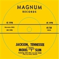 MODEL T SLIM - Shake Your Boogie