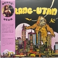 ORANG-UTAN - Orang-Utan