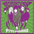 FUZZTONES - Psychorama