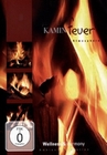 Kaminfeuer Atmosphäre - Wellness & Harmony