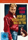 Denn sie wissen nicht, ... - CC [SE] [2 DVDs]