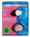 Kirschblten - Hanami
