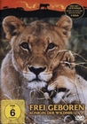 Frei geboren - Königin der Wildnis