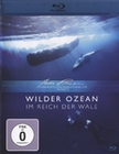 Wilder Ozean - Im Reich der Wale