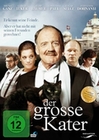 Der grosse Kater