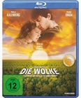 Die Wolke