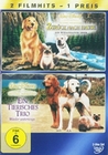 Zurck nach Hause/Ein tierisches Trio [2 DVDs]