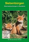 Siebenbürgen - Naturbeobachtungen in Rumänien