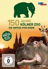 150 Jahre Kölner Zoo - Die Hippos vom Rhein