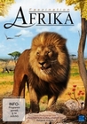 Faszination Afrika