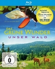 Das grne Wunder - Unser Wald