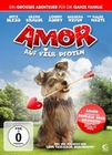 Amor auf vier Pfoten
