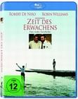 Zeit des Erwachens