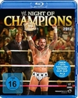 Night of Champions 2012