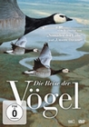 Die Reise der Vgel [2 DVDs]