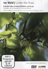 Im Wald - 8 Studien über animierte Stillleben...