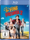 Fünf Freunde 2