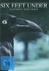 Six Feet Under - Staffel 4 [5 DVDs]