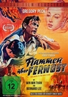 Flammen über Fernost