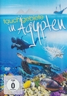 Tauchgebiete in Ägypten