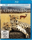 Geparden - Blutsbrüder/Raubtiere in Gefahr