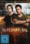 Supernatural - Staffel 8 [6 DVDs]
