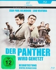 Der Panther wird gehetzt