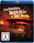 Joe Bonamassa - Muddy Wolf at Red Rocks