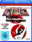 Blutjunge Verführerinnen 3