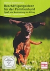 Beschäftigungsideen für den Familienhund