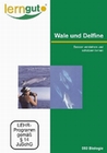 Wale und Delfine besser verstehen und schützen..