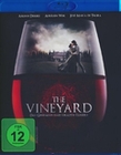 The Vineyard - Das Geheimnis eines uralten ...