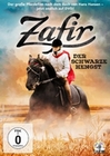 Zafir - Der schwarze Hengst