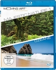 Majestic Nature 1 - Wälder und Ozeane