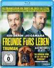 Freunde fürs Leben - Truman