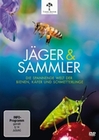 Jäger und Sammler - Die spannende Welt der ...
