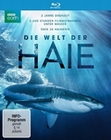 Die Welt der Haie