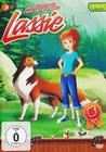 Lassie 5 - Die berühmteste Collie-Dame der Welt