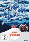 Wie ein Vulkan - Der Aufstieg des... (OmU)