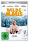 Wilde Maus - Majestic Collection